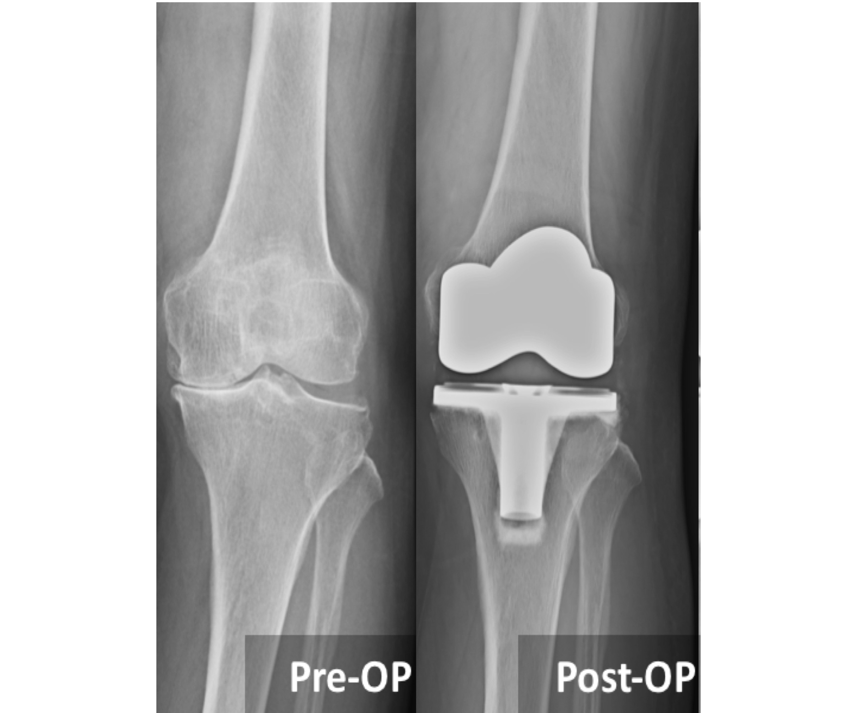Specialty Image